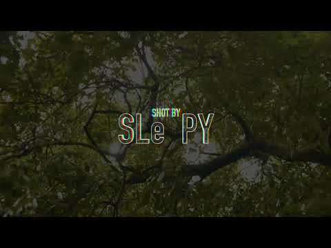 (NOW FOREVER LIVING) NFL TAE - TEN TOES