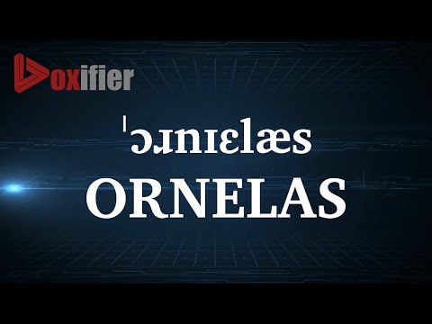 How to Pronunce Ornelas in English - Voxifier.com