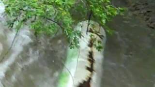 preview picture of video 'Propane Tank Floating Down The River In Brattleboro VT'