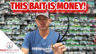 I'VE WON SO MUCH MONEY on THIS BAIT!