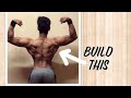 how to build a bigger back ( my secret workout)