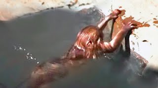 20 Mermaid Sightings You Won t Believe Are Real Mp4 3GP & Mp3