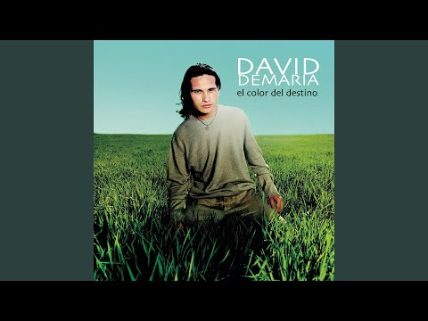 Entre La Piel Y El Alma - David Demaria