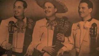 Flor Silvestre Music Video