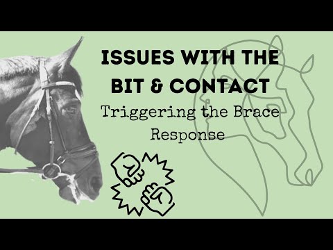 Issues with the Bit & Contact - Triggering the Brace Response in Horses