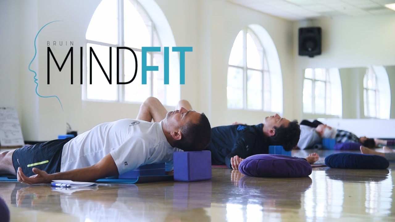 Bruin MindFit