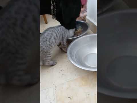 Кто смел тот и съел