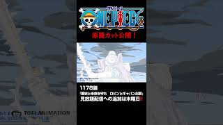 アニメ「#ONEPIECE」見放題配信への追加は木曜日‼️1178話‼️ #onepiece #原撮