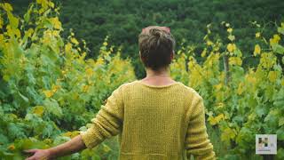 Mein Lieblingsplatz in Hammelburg - Folge 7 - Schloss Saaleck Weinberge (Teaser)