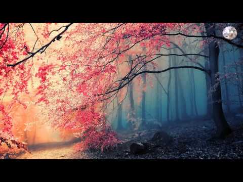 Neutralize Ft. Veela - Crayen