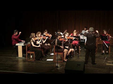 Richard Clayderman - Hungarian sonata