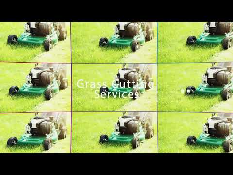 Vibe Mowing: Redefining Lawn Mowing Services for Pristine Outdoor Spaces