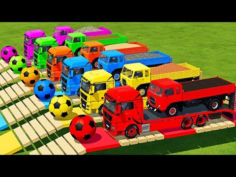 LOAD POPPY, CARROTS, STONE, BARLEY & TRANSPORTING WITH FIAT & MAN TRUCKS Farming Simulator 22