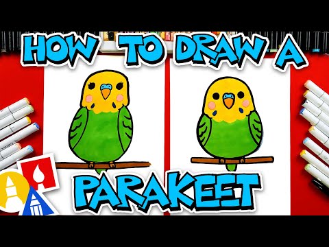 How To Draw A Cute Parakeet