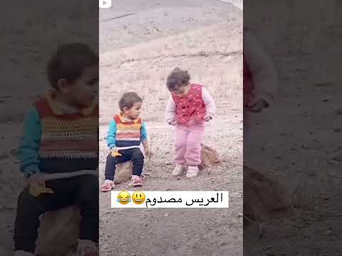 سليم سالم يا حته