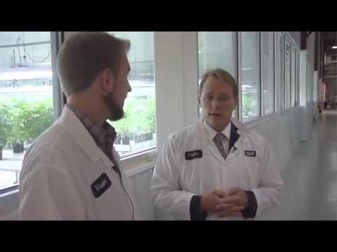 Canopy Growth: What Investors Should Know feat. CEO Bruce Linton