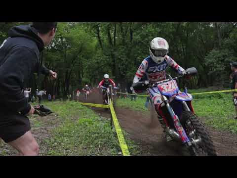 NETRA - Dam Good 2025