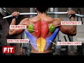 BACK WORKOUT - HOW TO AVOID INJURY & BUILD MUSCLE BY TRAINING SMART
