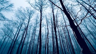 Download lagu musik horror...1 jam lebih dalam..relaksasi musik horror (HORROR) mp3 Download lagu musik horror...1 jam lebih dalam..relaksasi musik horror (HORROR) mp3