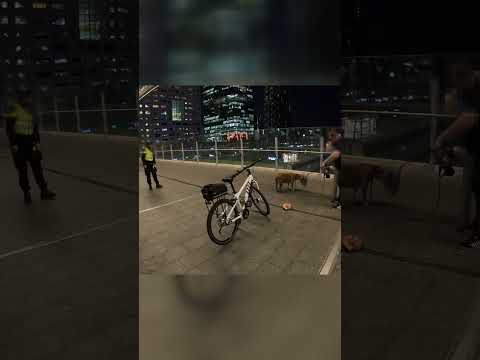 Politie - Trailer nieuwe vlog #Politie