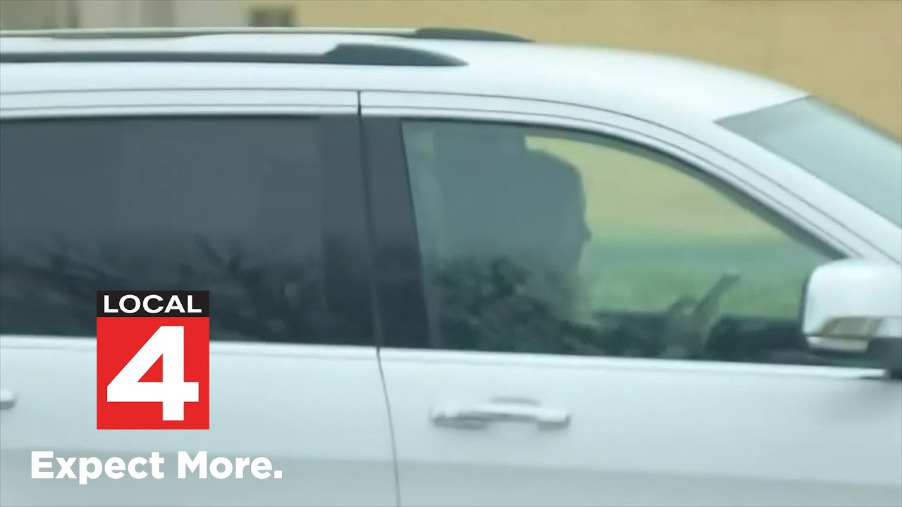Michigan House approves hands-free driving legislation -- here's what's next