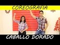 CABALLO DORADO - NO ROMPAS MI CORAZÓN (COREOGRAFÍA)