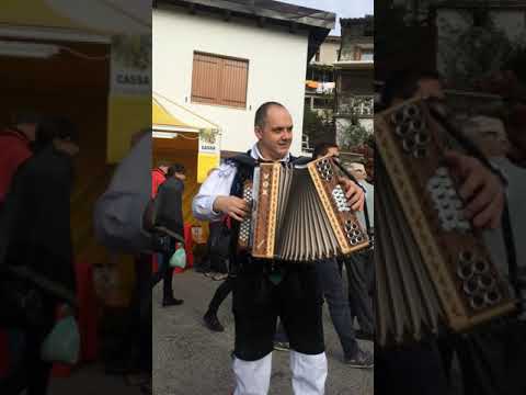 modrijani/rok svab-na golici 2015