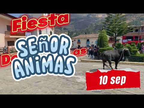 Fiesta del Señor de la Animas - 2024