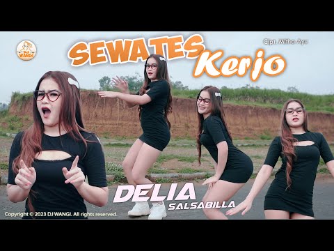 Dj Sewates Kerjo - Delia Salsabila (Official Music Video)