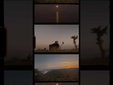 Droomroadtrip doorheen Provence Frankrijk🇫🇷