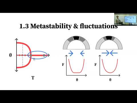 SLT Summit 2023 - Statistical Mechanics, Free Energy, Phases and Phase Transitions (Physics 2)