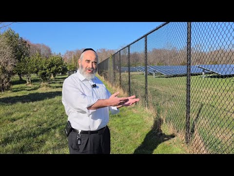 Solar Panels Solar farms: Scam or Game-Changer? 🌞 Let's talk with Mr. Yossi Solomon how it works.