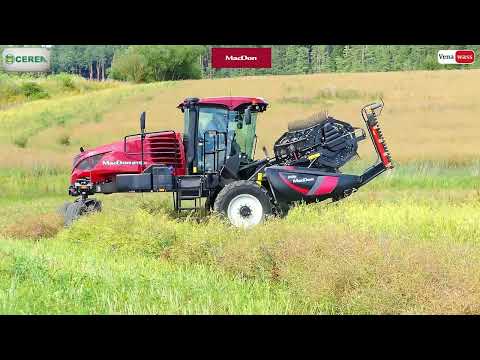 MacDon M1170 NT5 Windrower + D125 X  Dvoufázová sklizeň řepky. Bory Vysočina Czech Republic AGRI CS