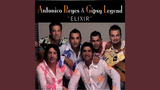 Don&#39;t let me be misunderstood