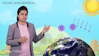 Our Environment - 6 | How do we affect the environment | Ozone Layer | CBSE Class 10