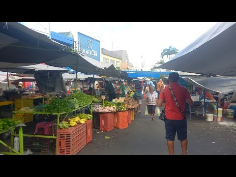 Plantão das feiras quarta é dia de feira em itabaiana Sergipe 16 09 2026 