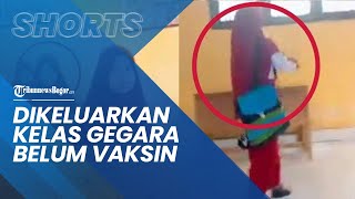 Viral Video Murid SD di Konawe Tak Bisa Ikut Try Out, Diusir Gurunya dari Kelas Gegara Belum Vaksin