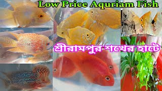 Hooghly Aquarium Fish Market | Aquarium Fish Haat Shrirampur | Aquarium Fish Price | Serampore Haat 