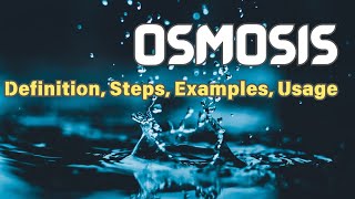 What is Osmosis: Definition, Steps, Examples, Real Life Usage