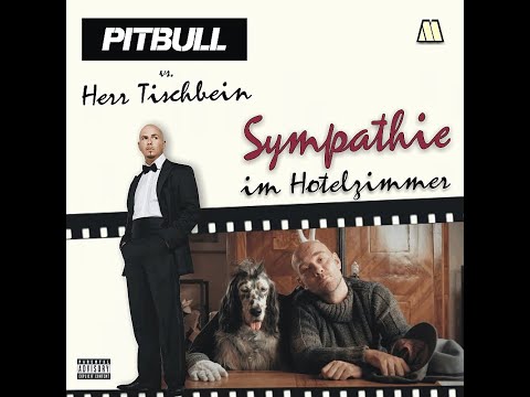 MashMike - Sympathie im Hotelzimmer (Herr Tischbein vs. Pitbull)
