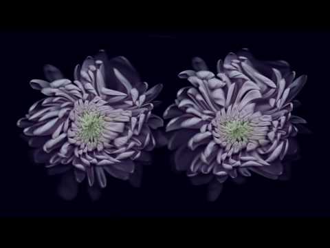 FABRICLIVE 91: Special Request | Paul Woolford - MUSIC VIDEO