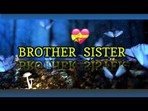 Cute & Sweet Fights/ Brother 💝 Sister  WhatsApp status 2019  //