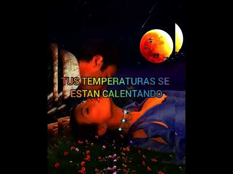 THE SHADOWS OF KNIGHT - OH YEAH