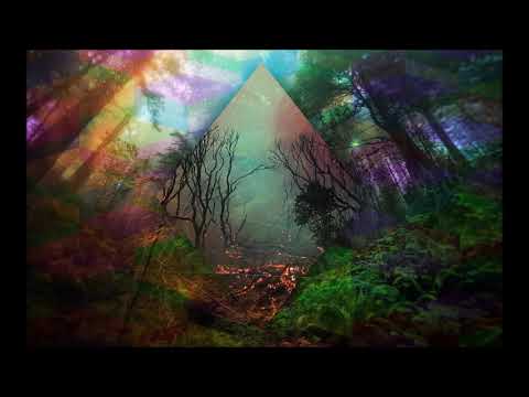 Dark Forest Psytrance Goa Mix 2019