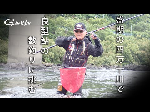 【G WORLD】#34　盛期の四万十川で良型鮎の数釣りに挑む
