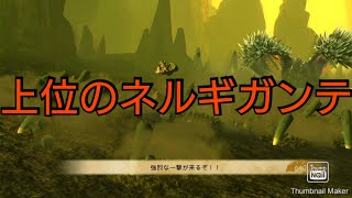 【ストーリーズ２】ネルギガンテ！「上位」