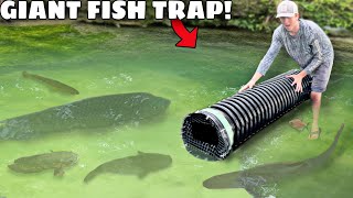 TRAPPING GIANT PIRANHAS in My POND!