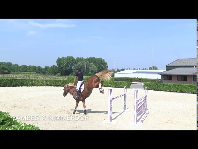 JUMPING