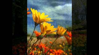 FOREVER - FLOACIST &amp; MUSIQ SOULCHILD - SKKIF