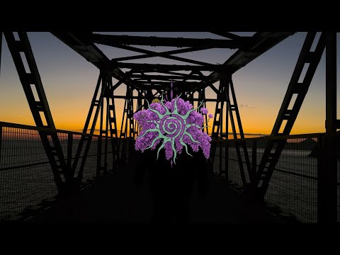 ELJO x CJ4Y - Wisteria (Official Musicvideo)